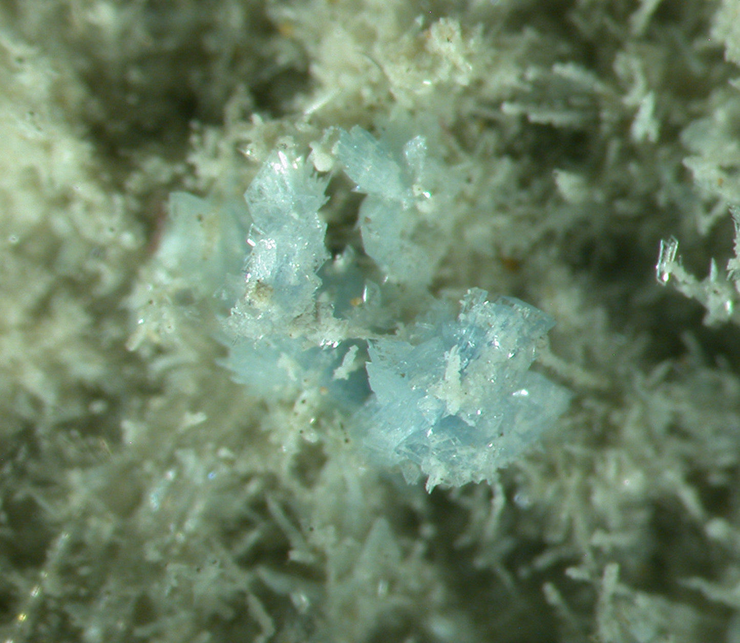 Vauxite, Paravauxite, Metavauxite, Sigloite, Quartz, Wavellite and Römerite