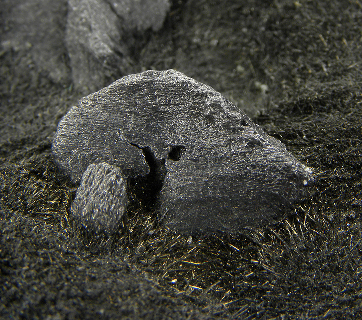 Andorite with Zinkenite on matrix