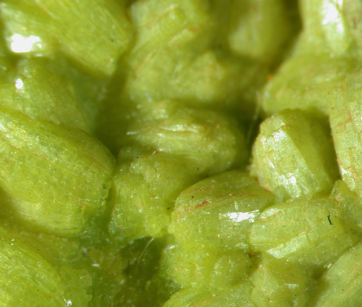 Pyromorphite
(rare from Bolivia)