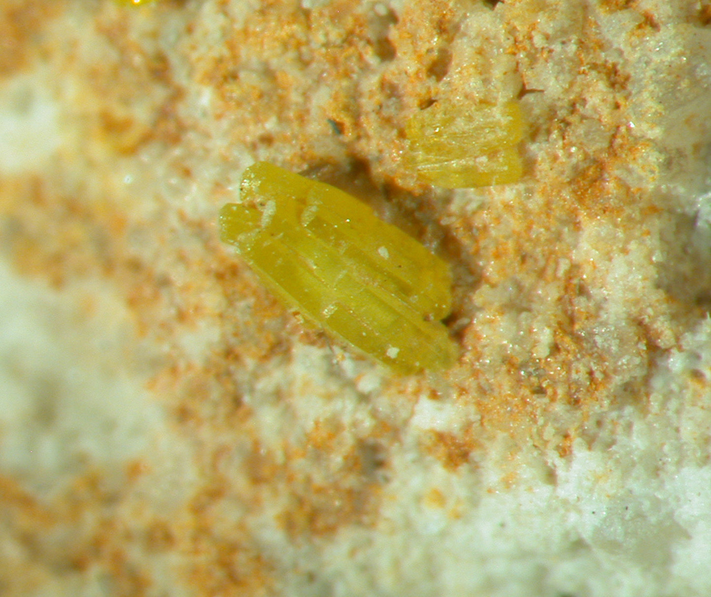 Pyromorphite
(rare from Bolivia)