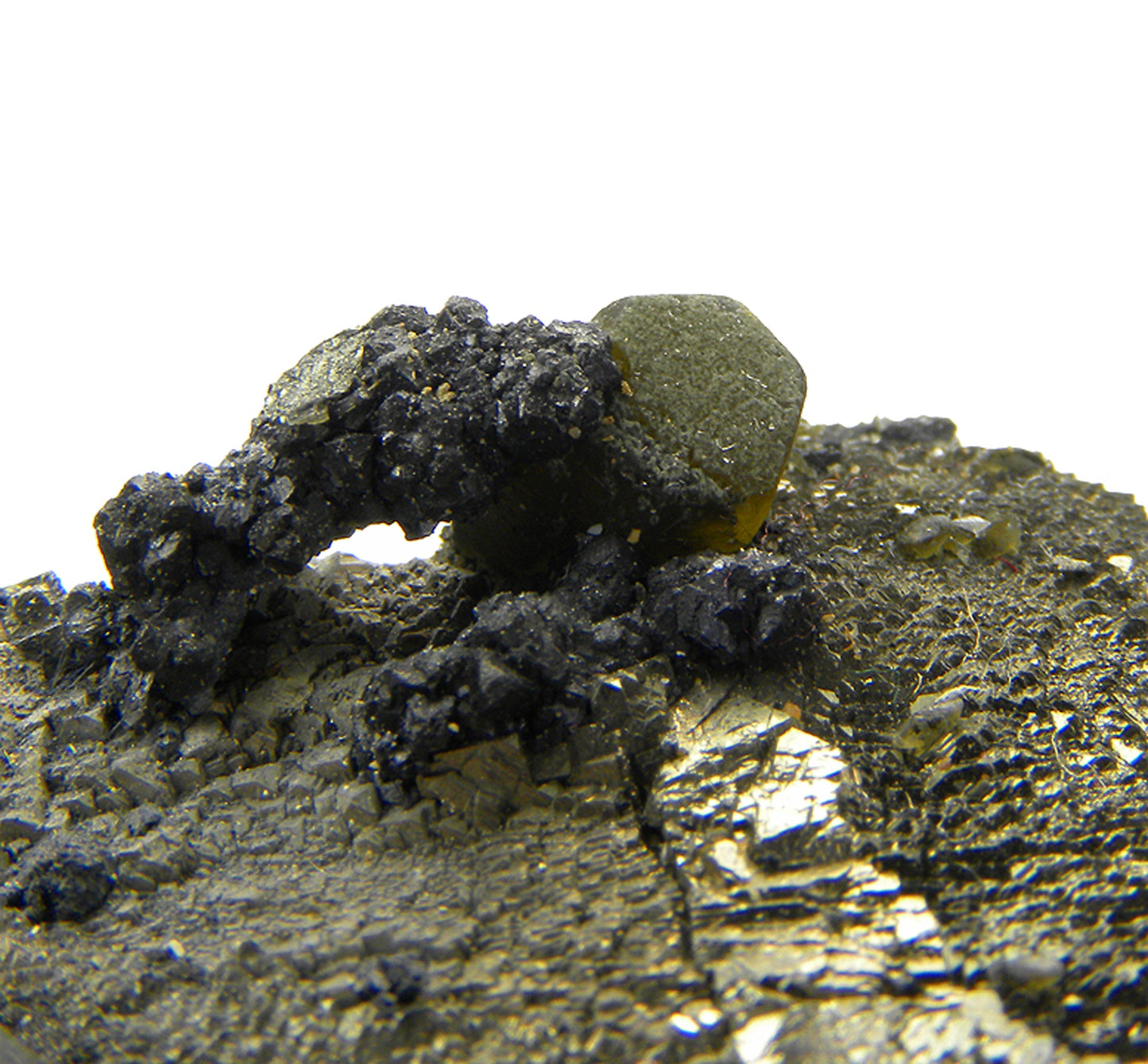 Pyrite (replacing Siderite) with Siderite and Stannite