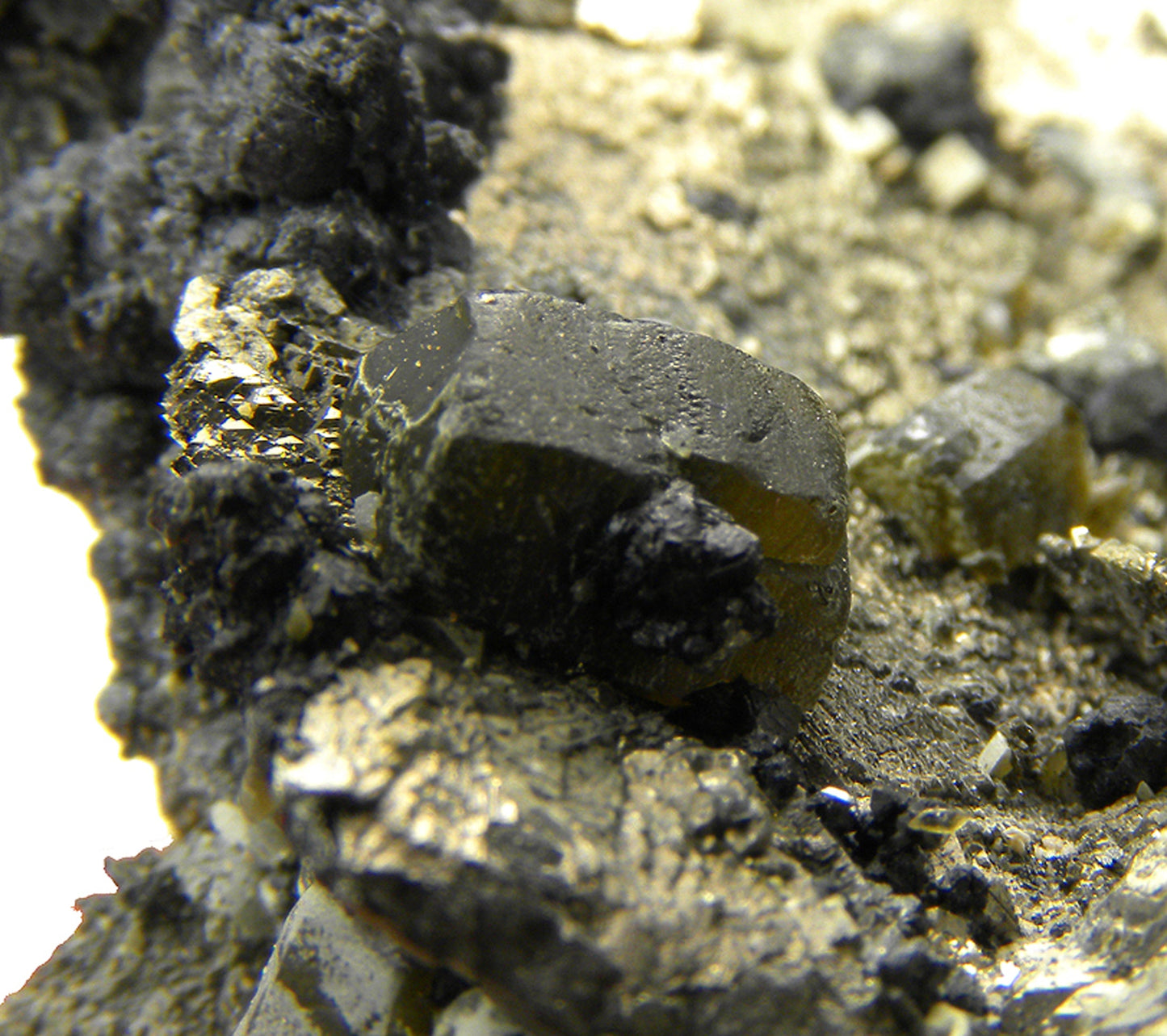 Pyrite (replacing Siderite) with Siderite and Stannite