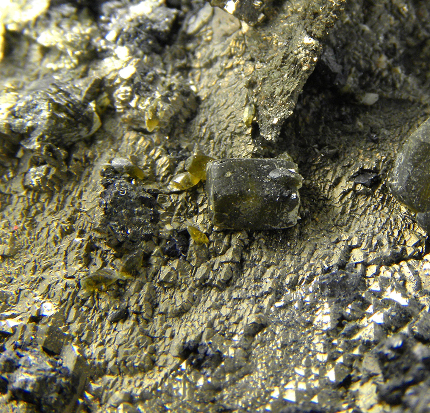 Pyrite (replacing Siderite) with Siderite and Stannite