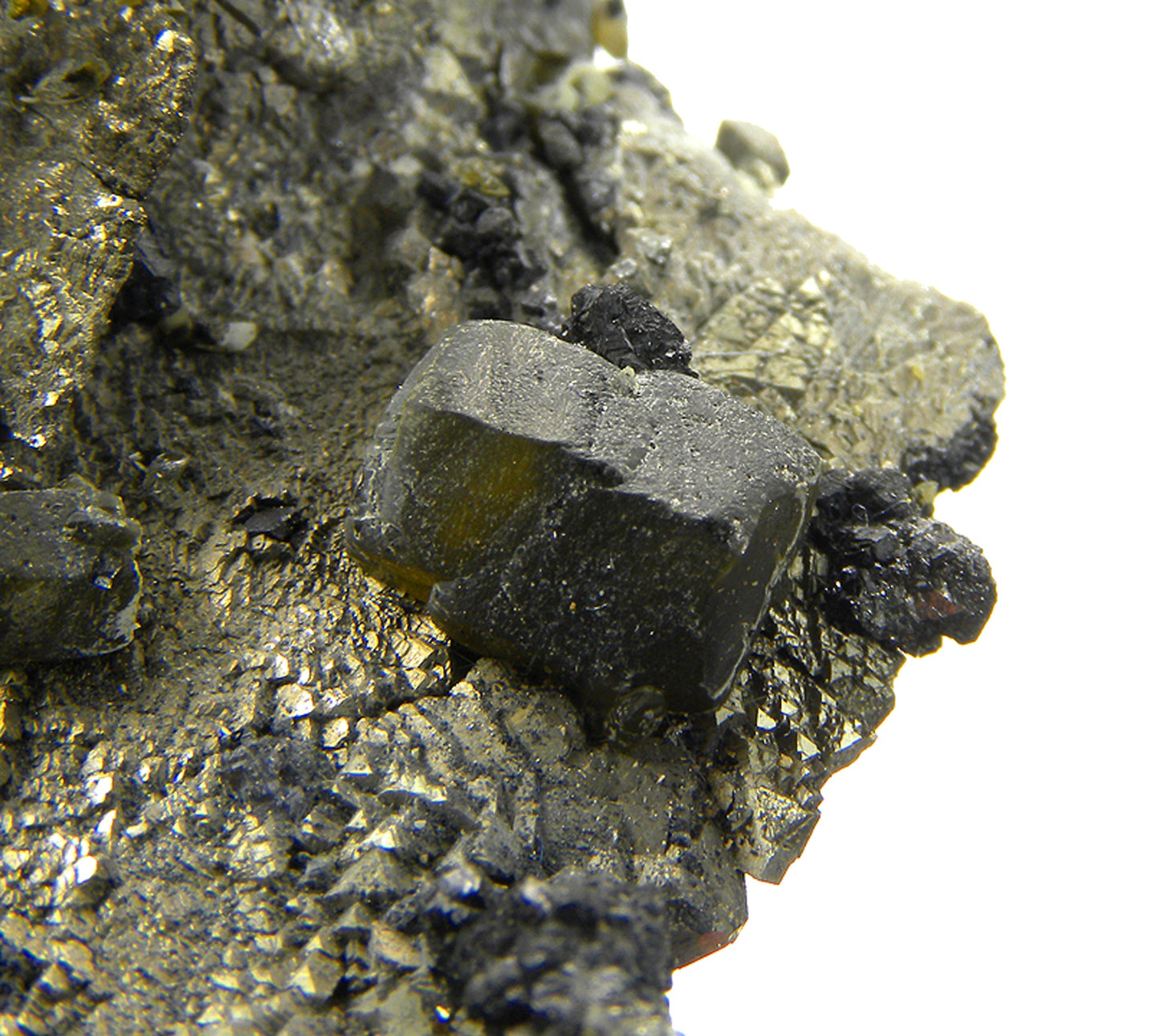 Pyrite (replacing Siderite) with Siderite and Stannite