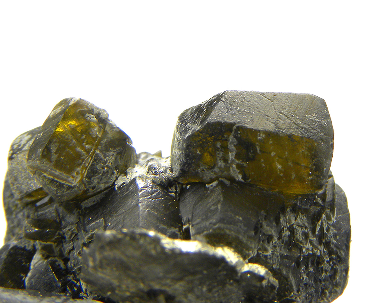 Siderite with Pyrite (replacing Siderite)