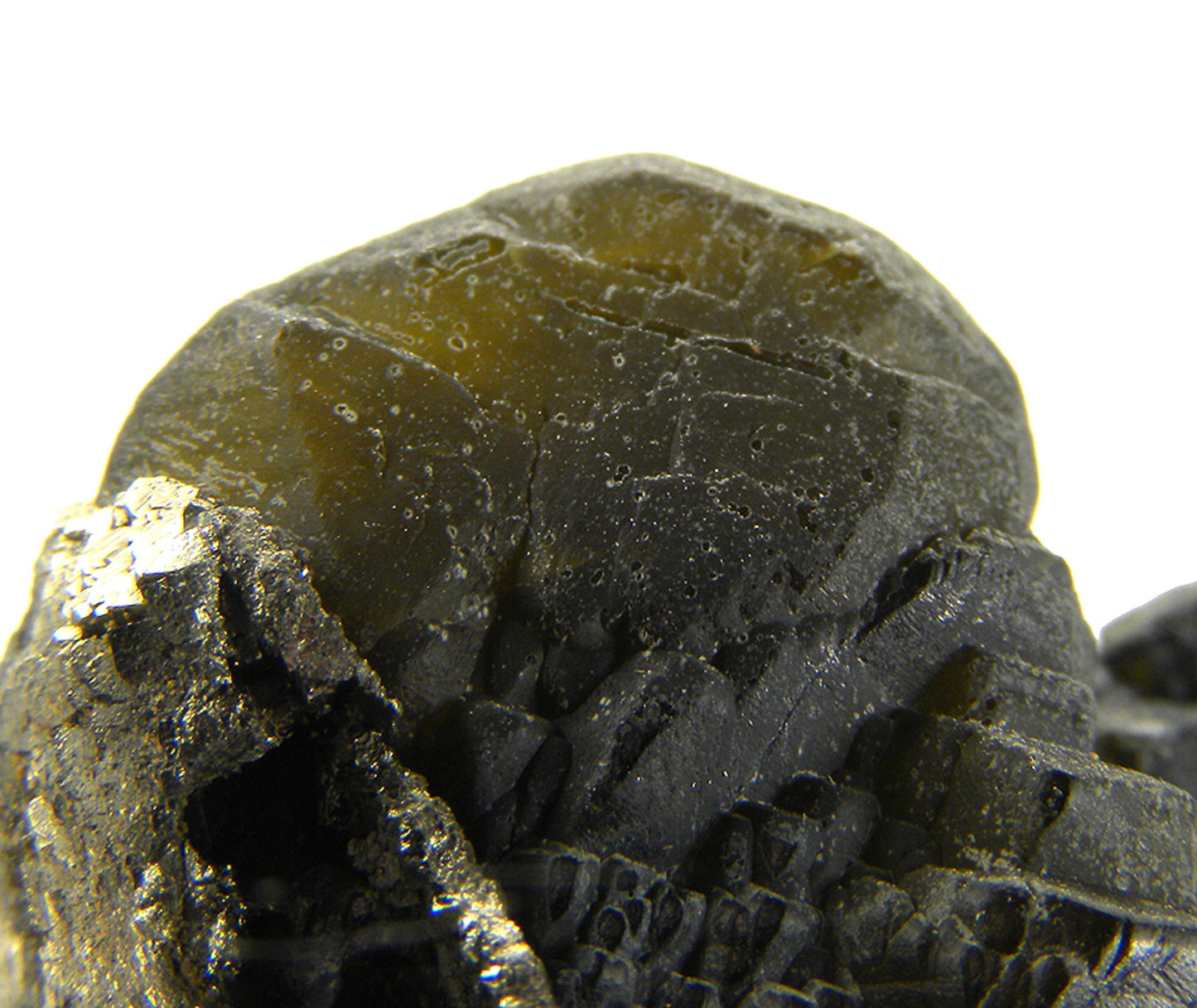 Siderite with Pyrite (replacing Siderite)