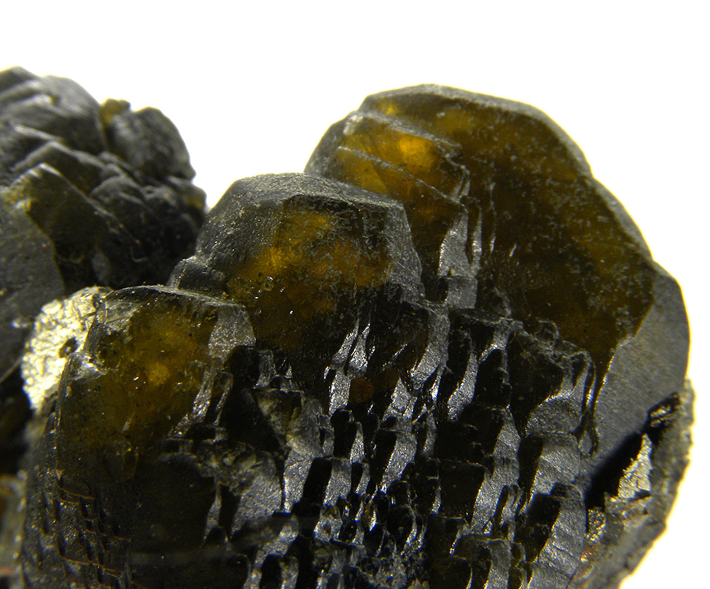 Siderite with Pyrite (replacing Siderite)