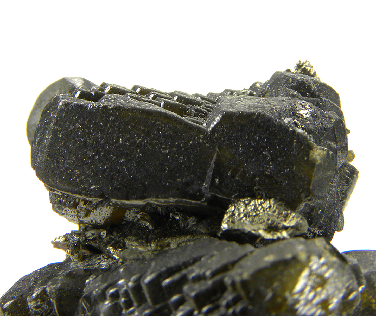 Siderite with Pyrite (replacing Siderite)
