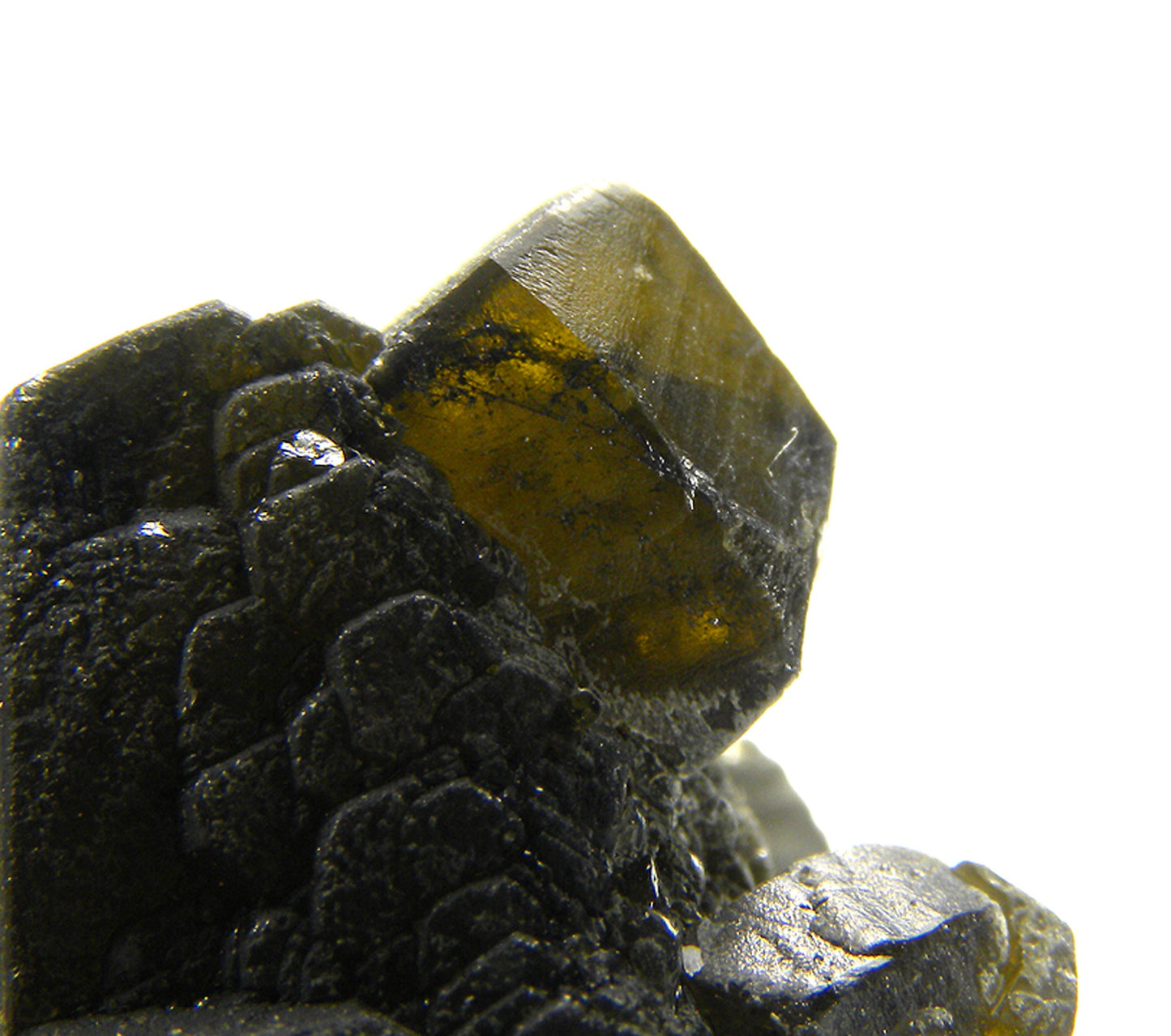 Siderite with Pyrite (replacing Siderite)