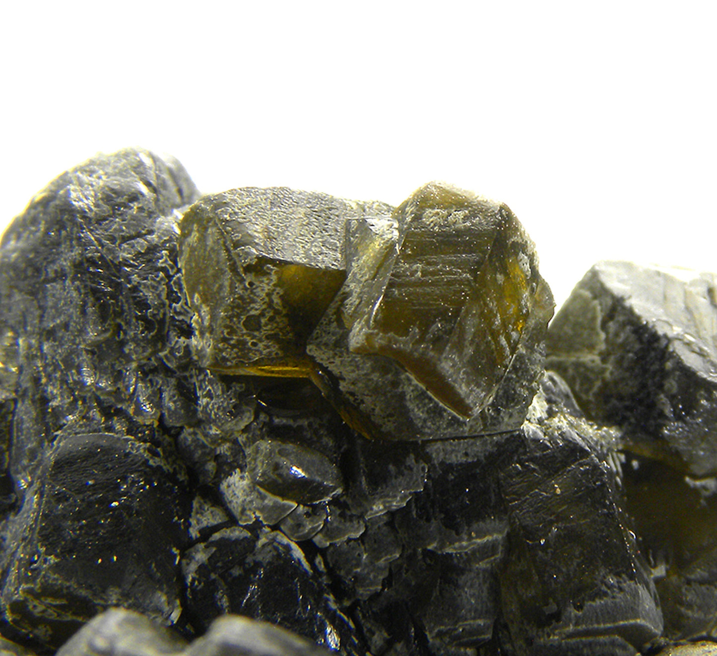 Siderite with Pyrite (replacing Siderite)