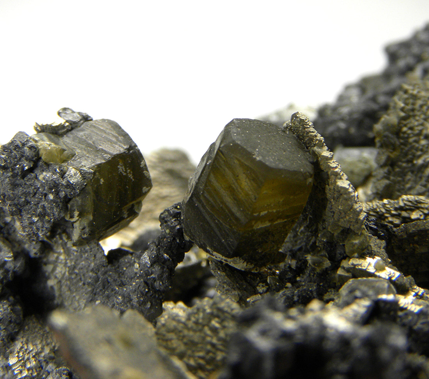 Siderite on Pyrite (replacing Siderite) with Stannite