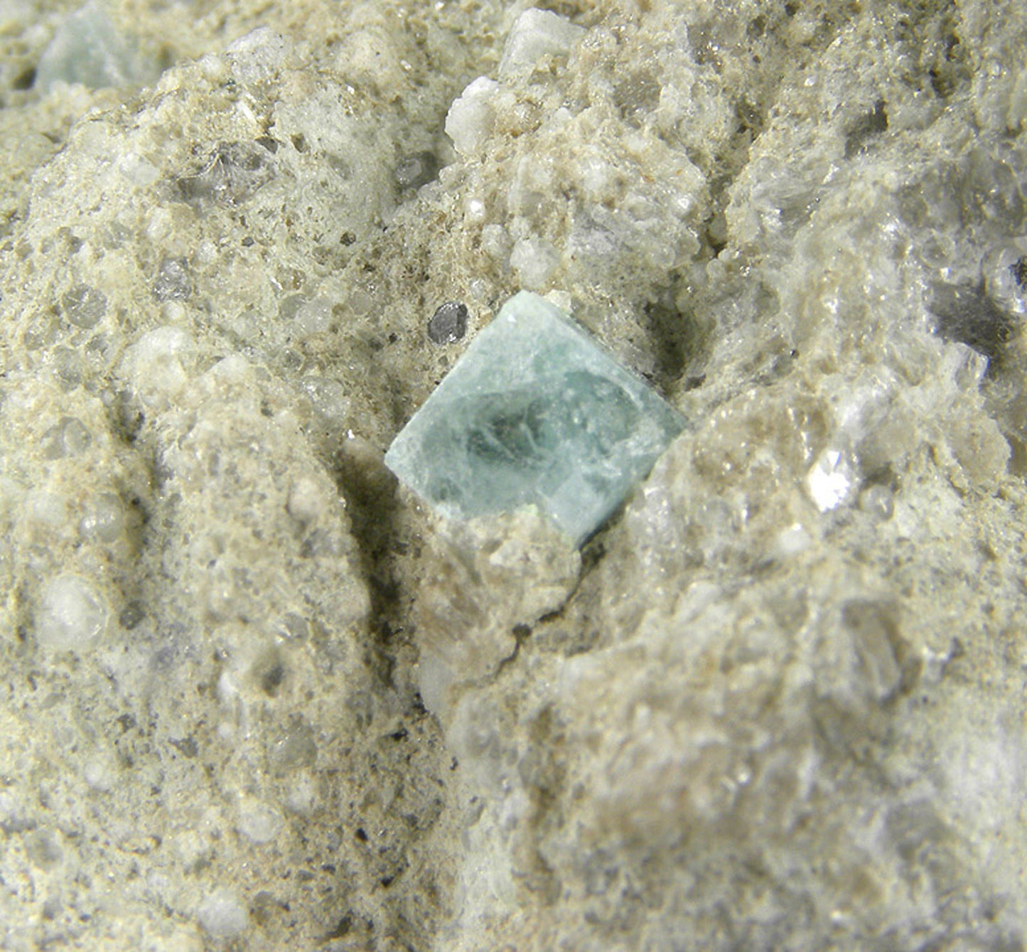 Boracite