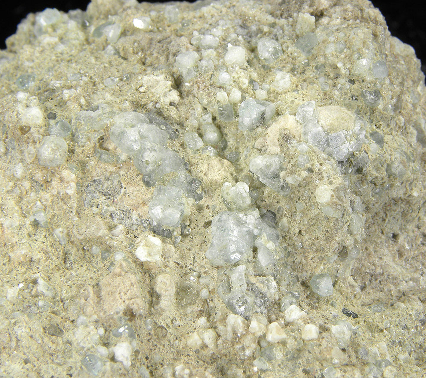 Boracite