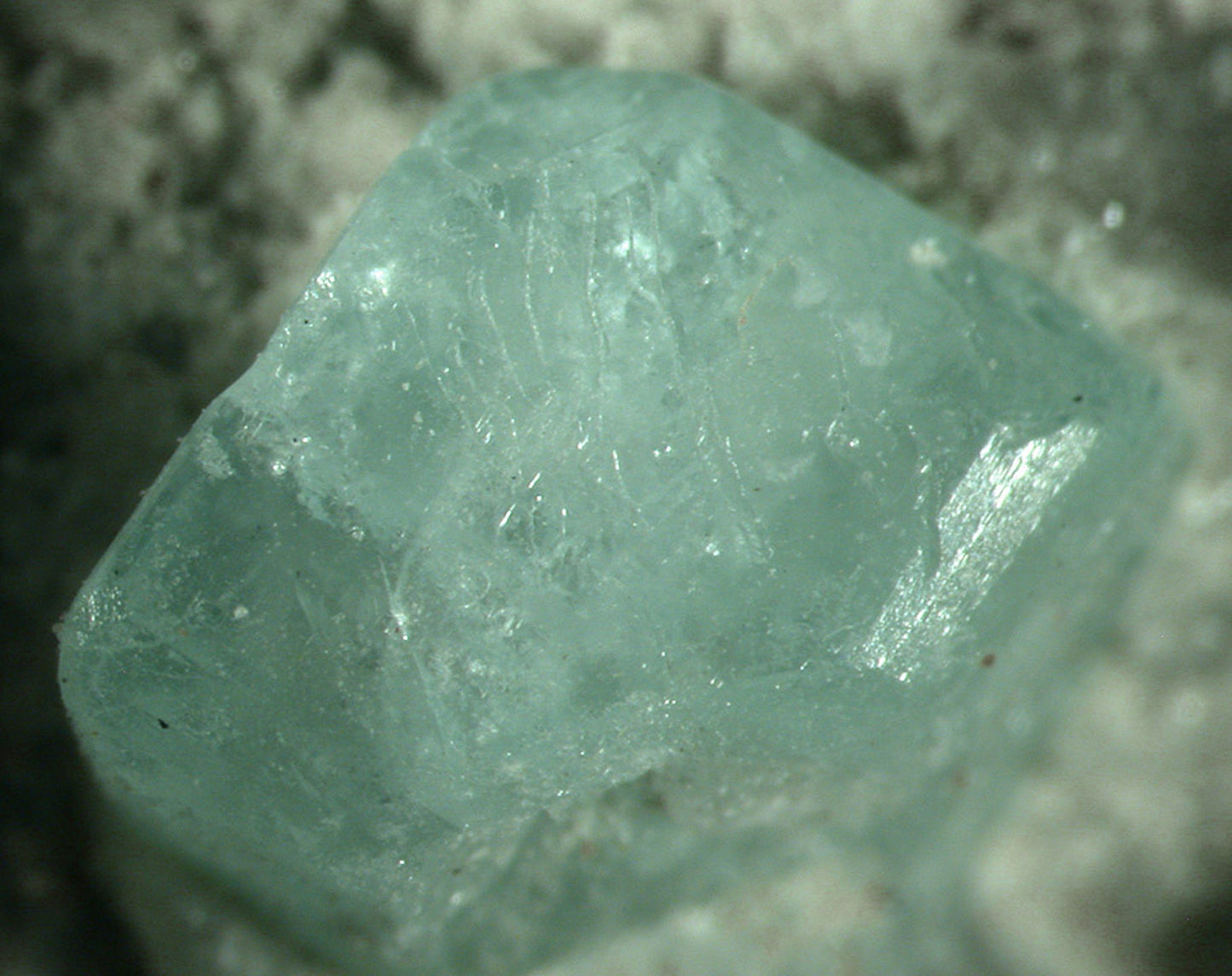 Boracite