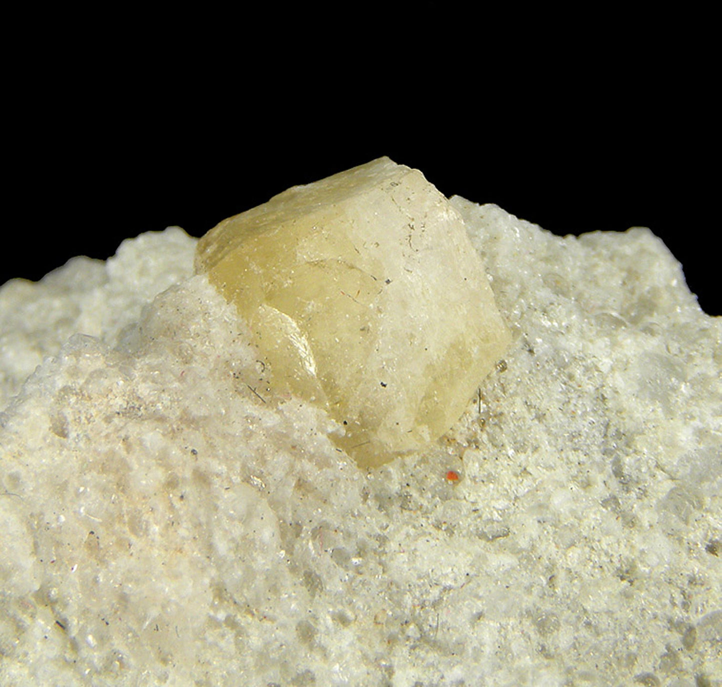 Boracite
(rare color)