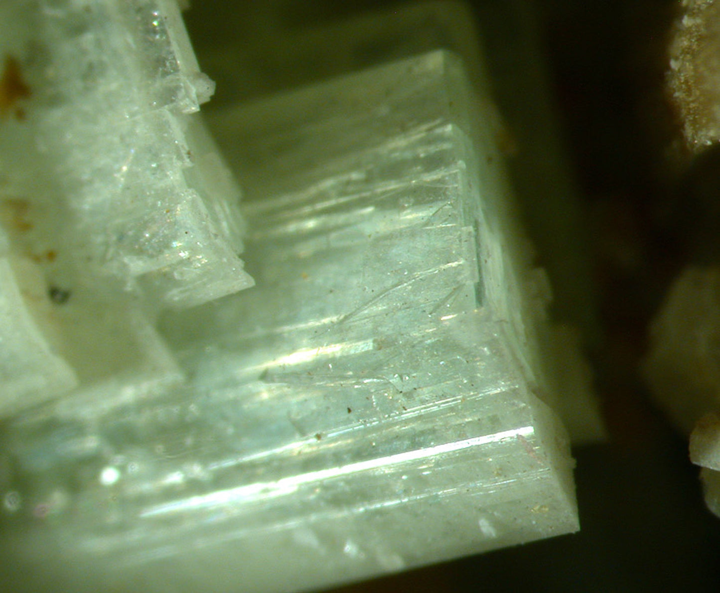 Paravauxite with Sigloite