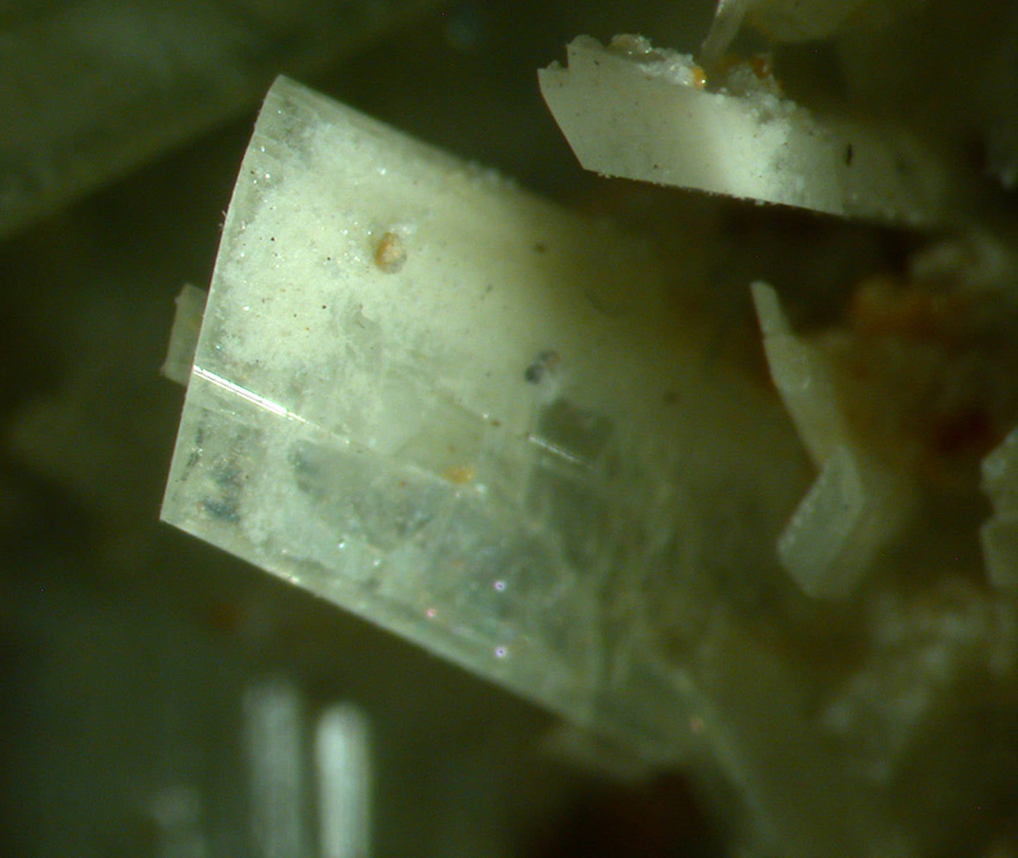 Paravauxite with Sigloite