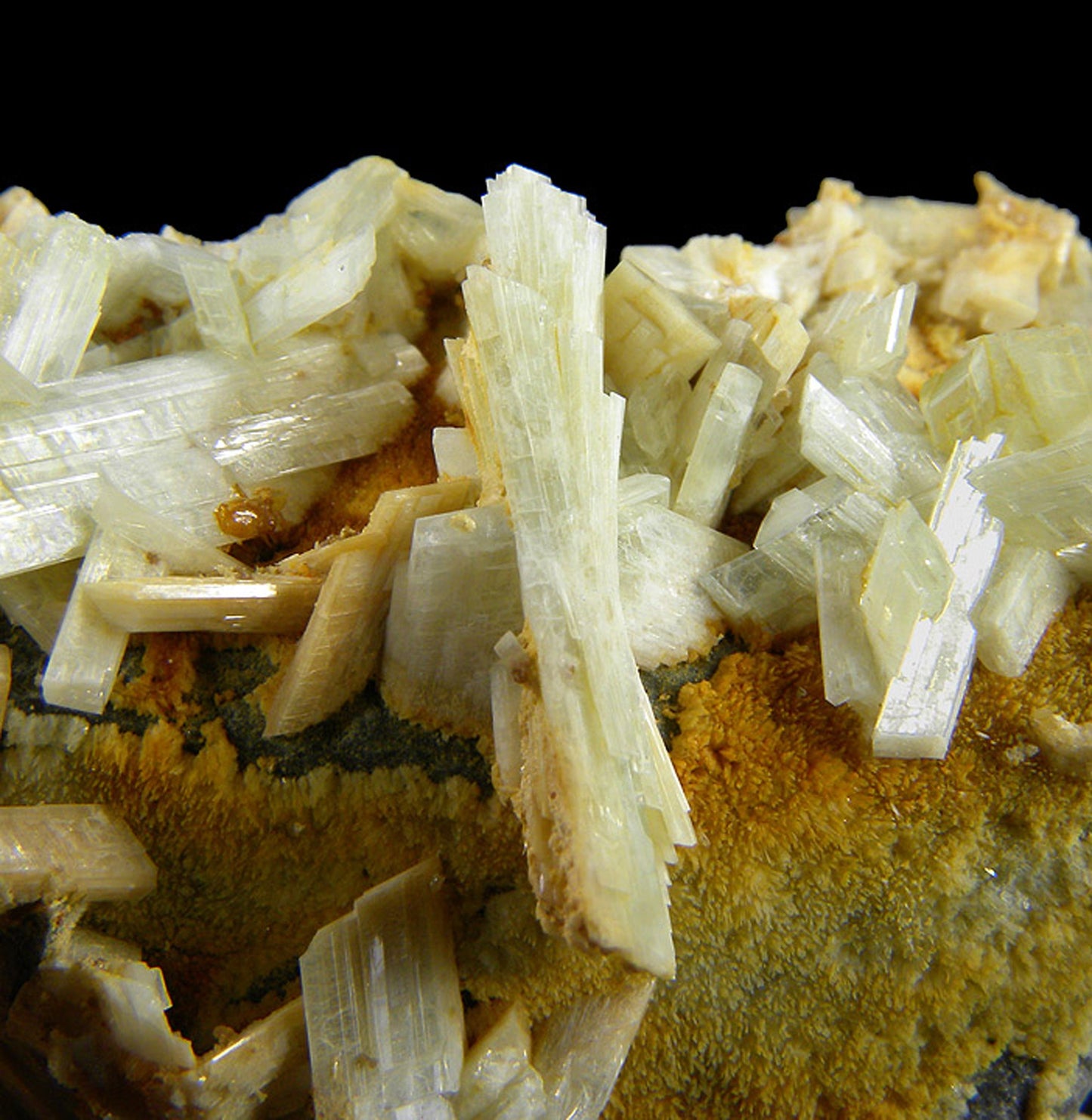 Paravauxite with Sigloite