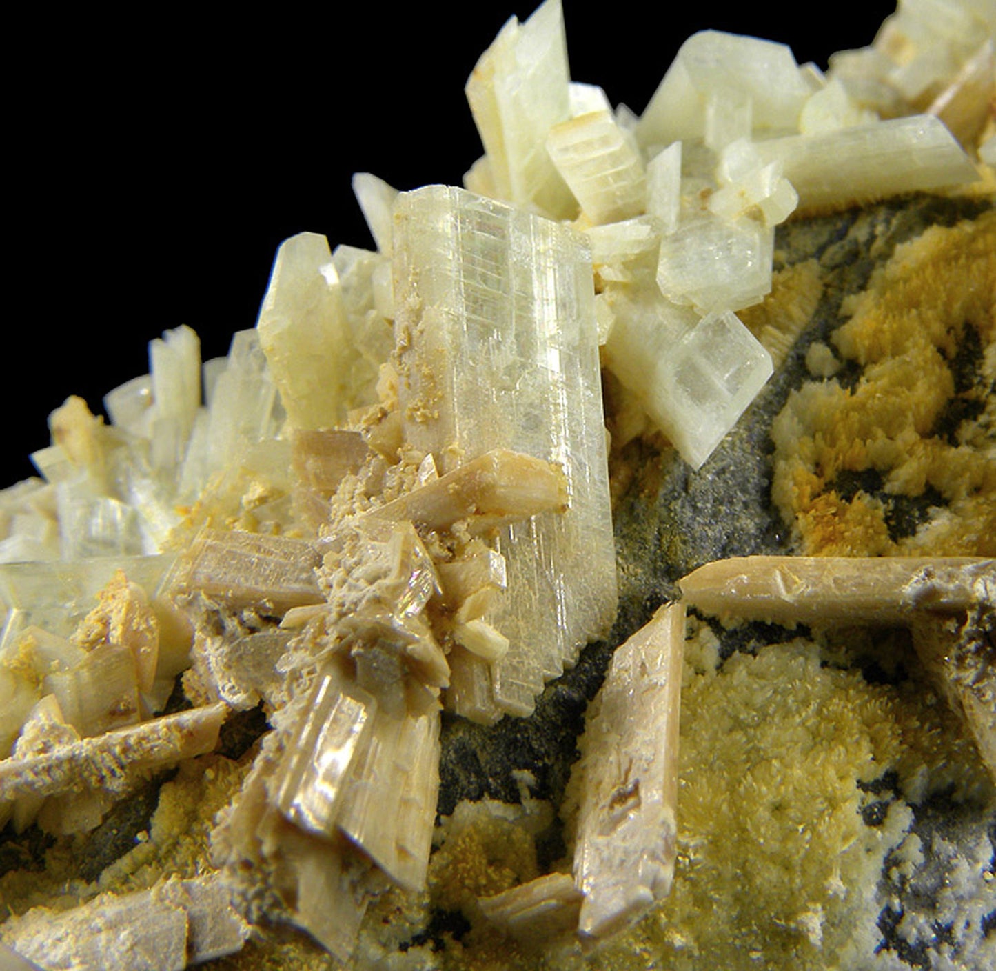 Paravauxite with Sigloite