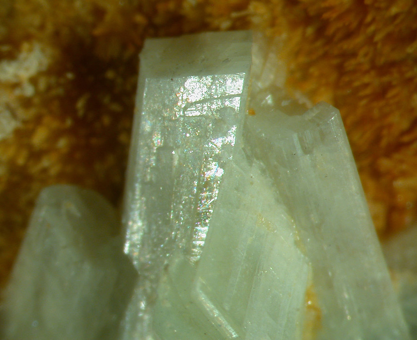 Paravauxite with Sigloite