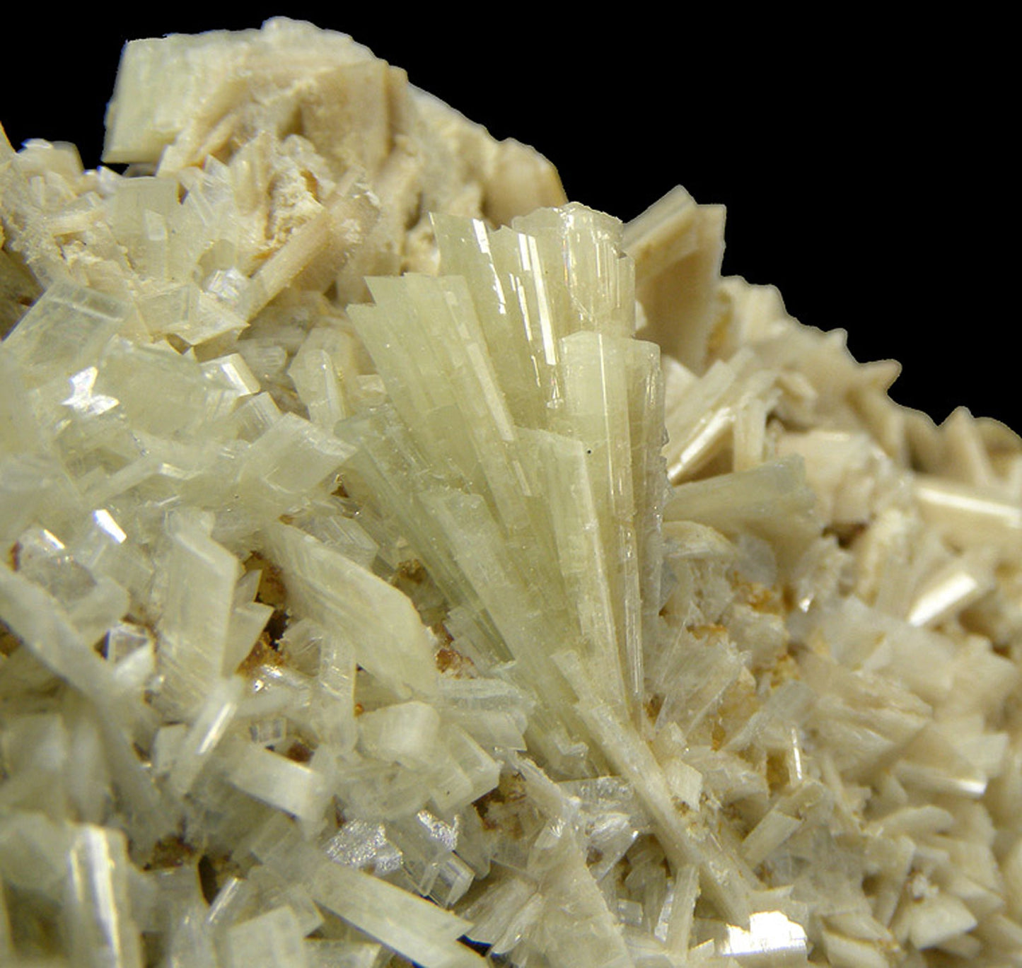 Paravauxite with Sigloite