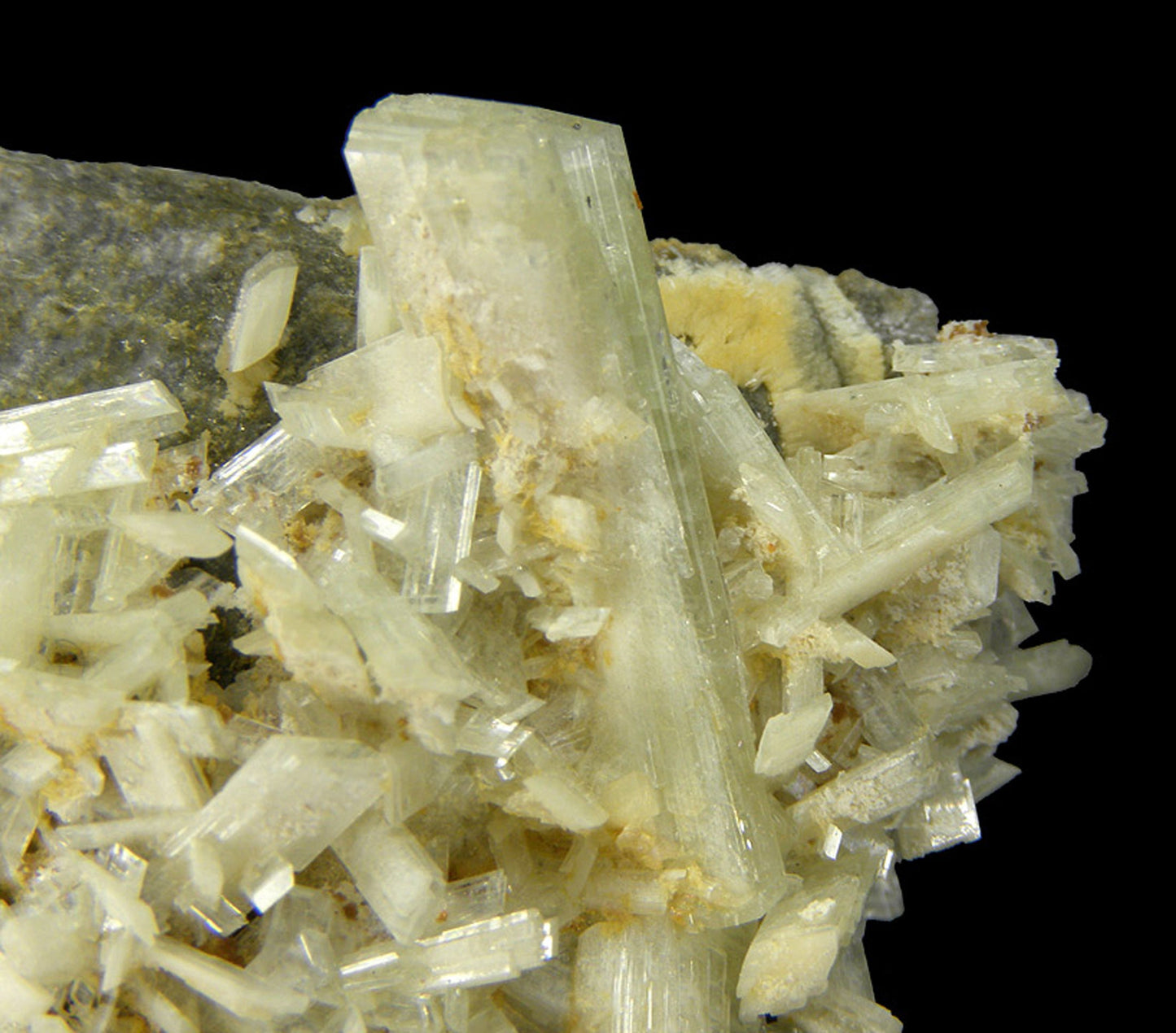 Paravauxite with Sigloite