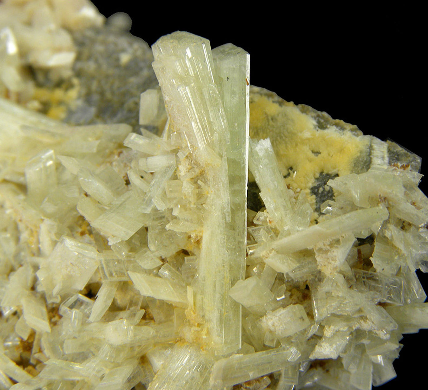 Paravauxite with Sigloite