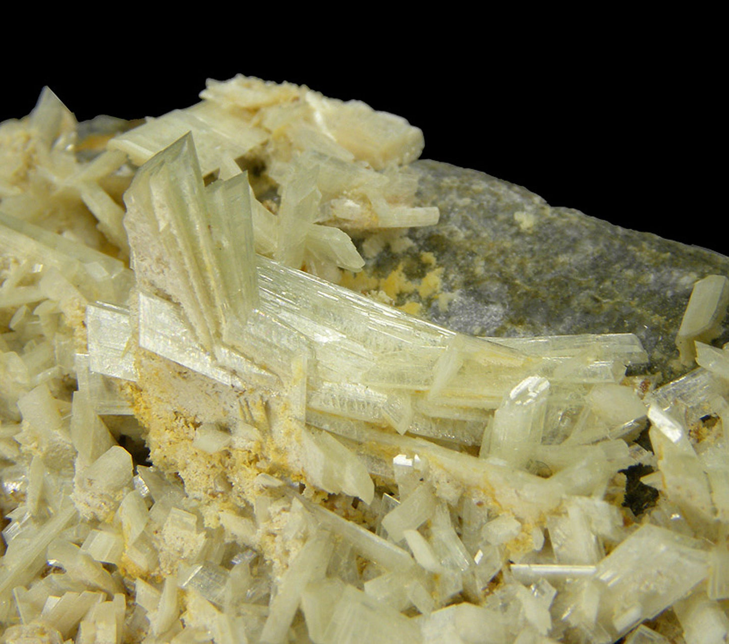 Paravauxite with Sigloite