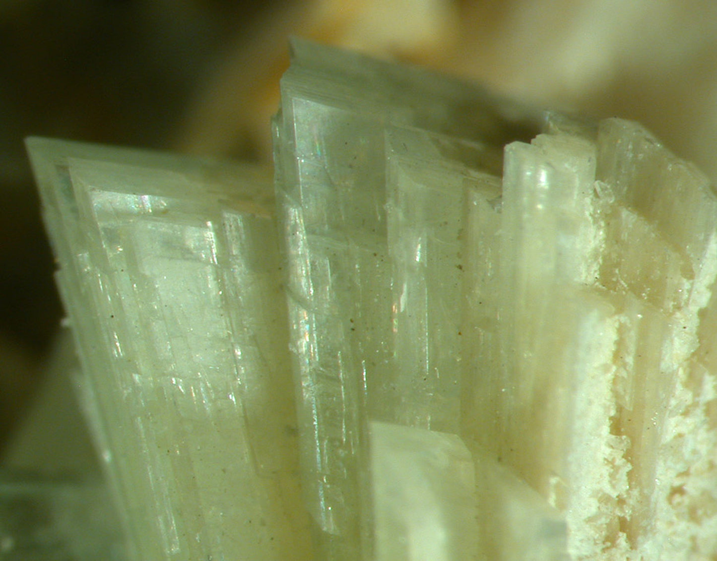 Paravauxite with Sigloite