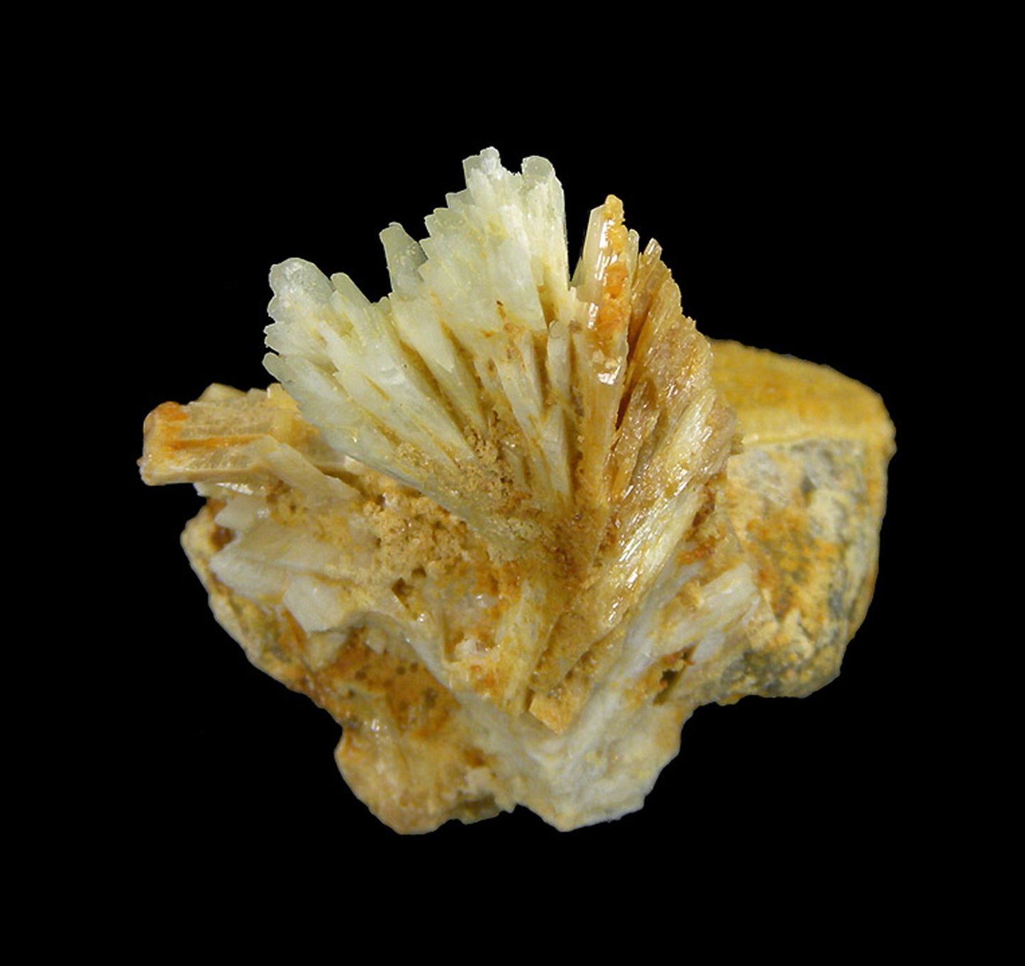 Paravauxite with Sigloite