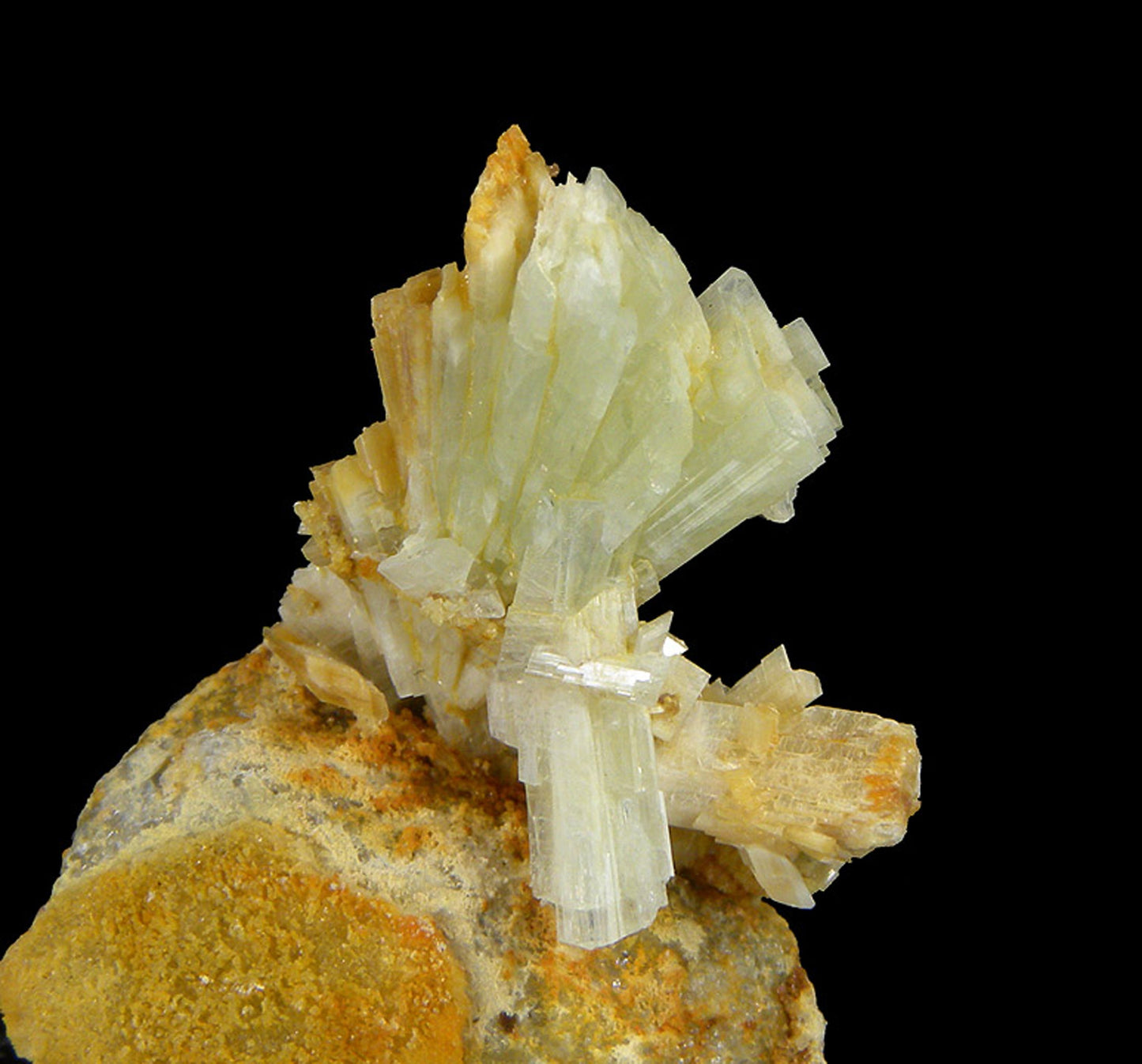 Paravauxite with Sigloite