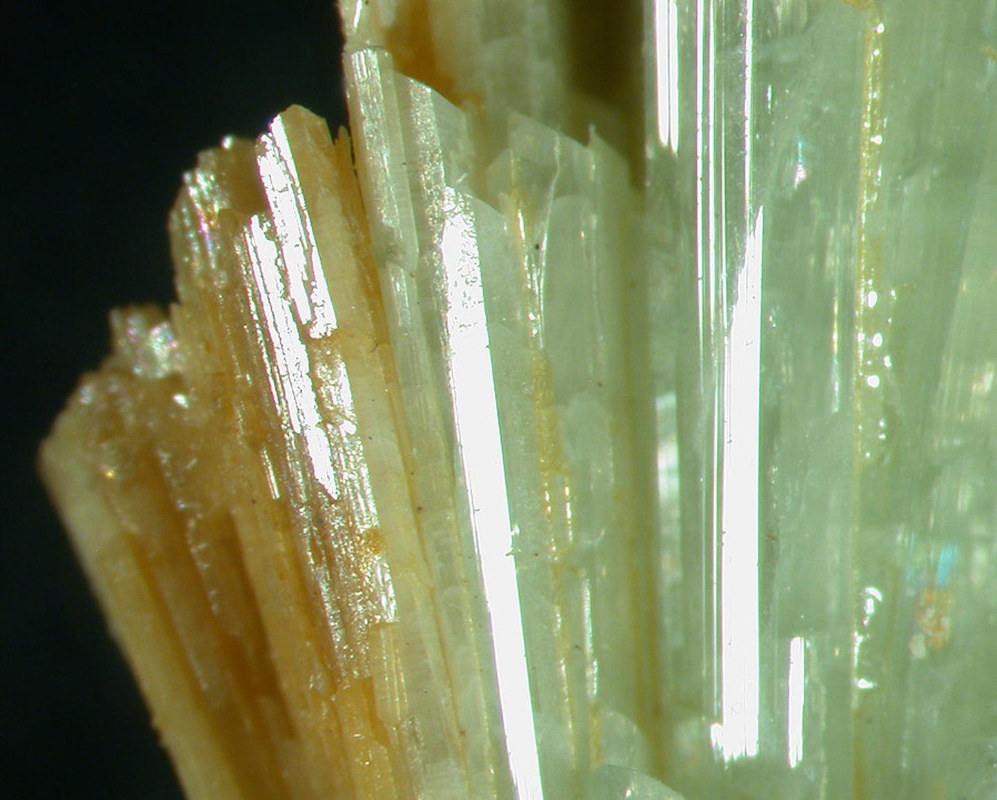 Paravauxite with Sigloite