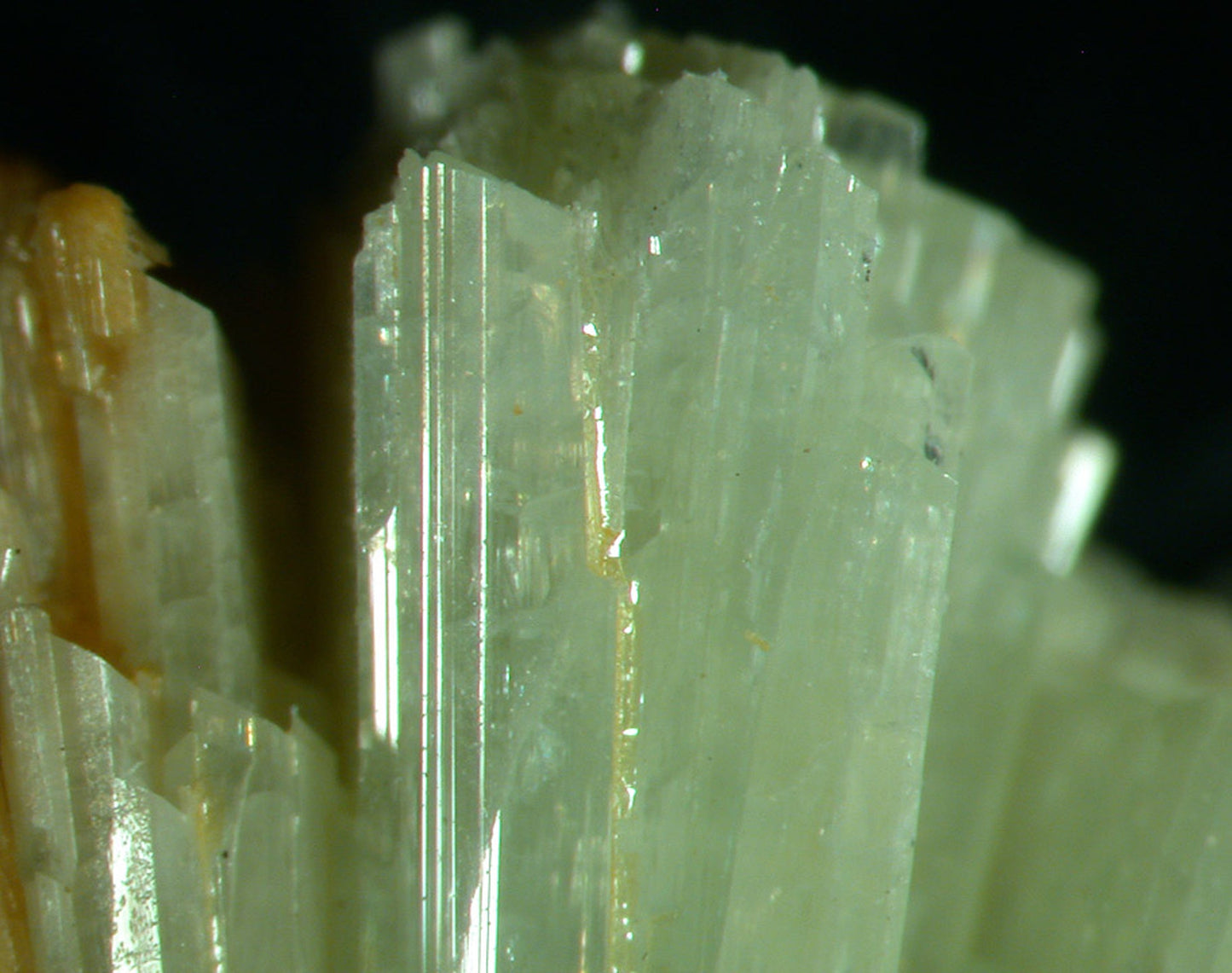 Paravauxite with Sigloite