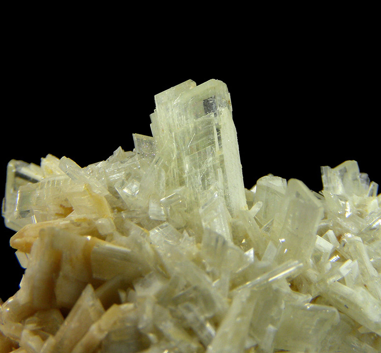 Paravauxite with Sigloite