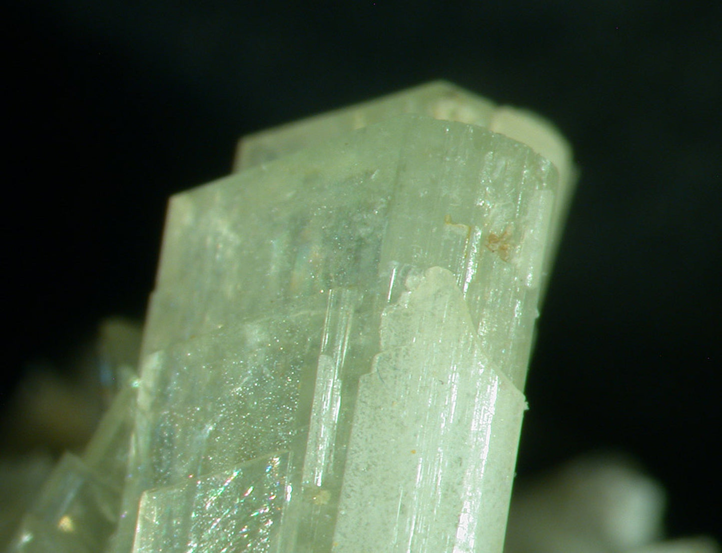 Paravauxite with Sigloite
