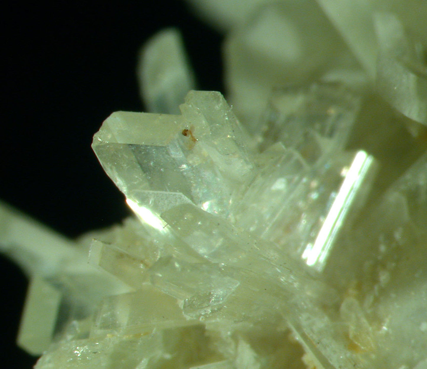 Paravauxite with Sigloite