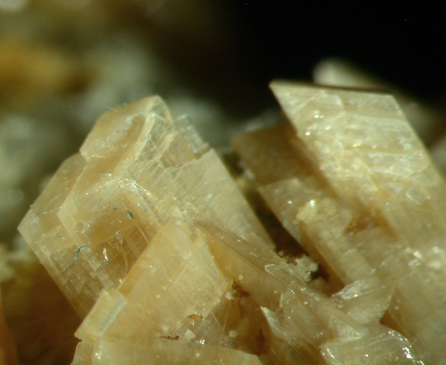 Paravauxite with Sigloite