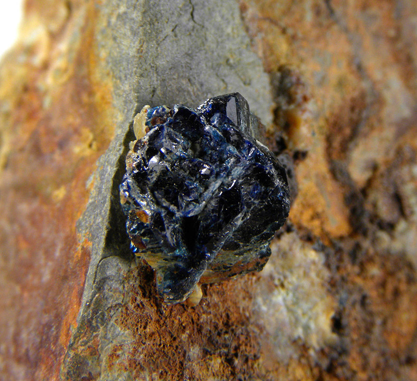 Scorzalite