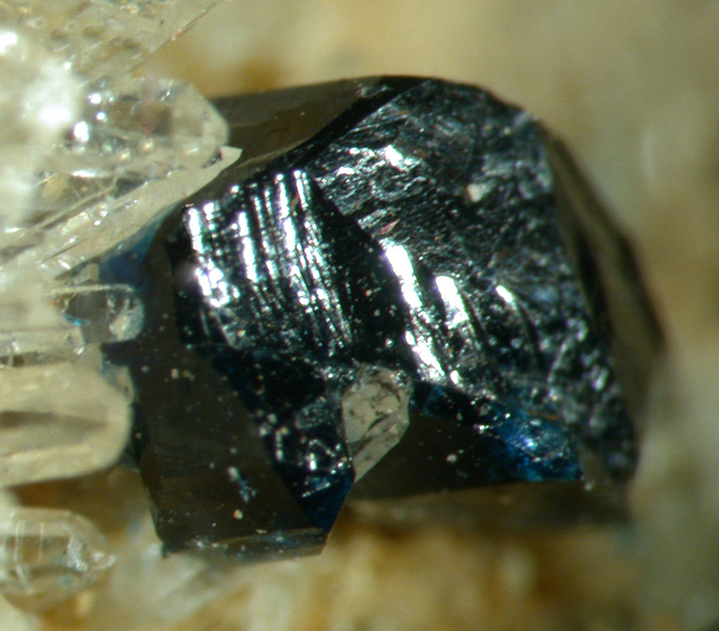 Scorzalite with Quartz