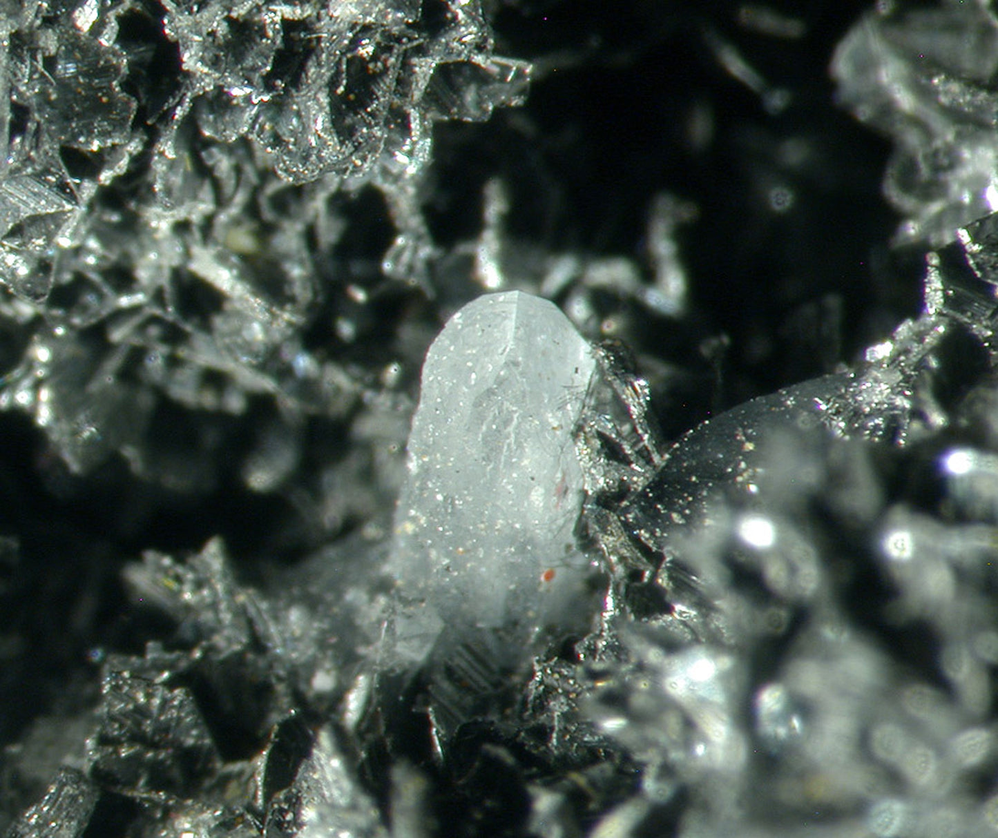 Franckeite
(rare matrix specimen)