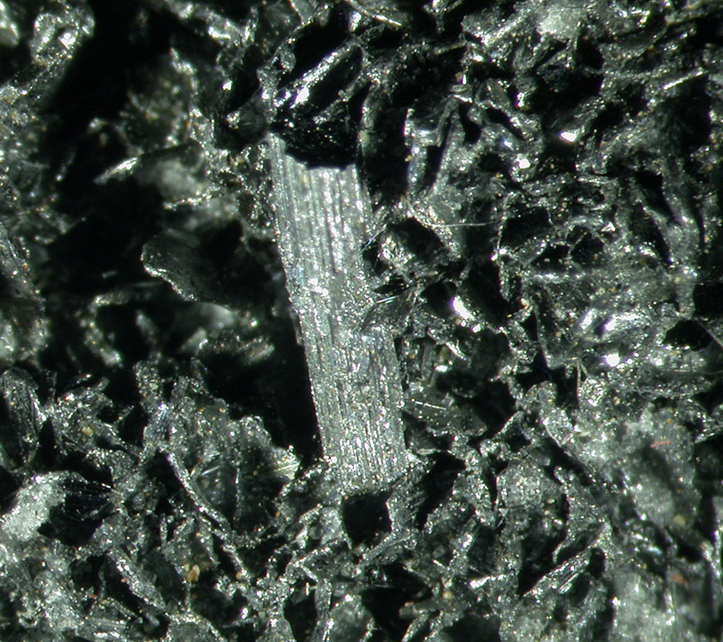 Franckeite
(rare matrix specimen)