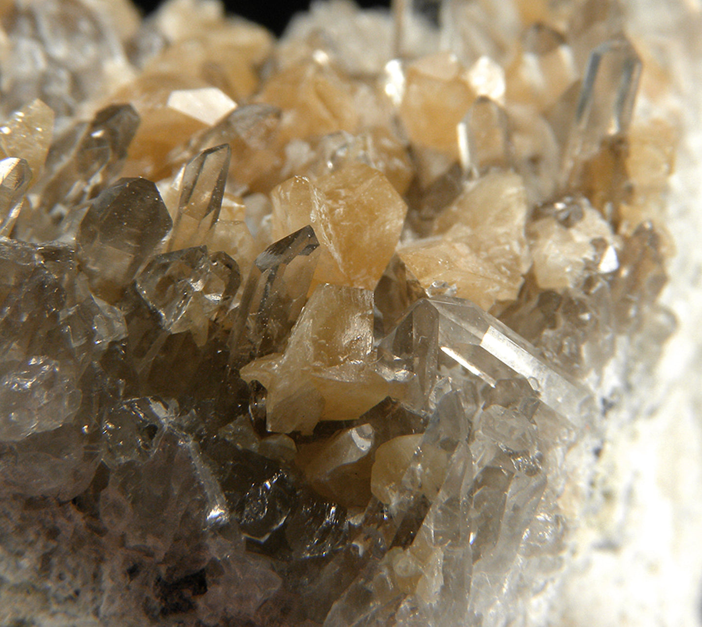Monazite-(Ce) with Quartz