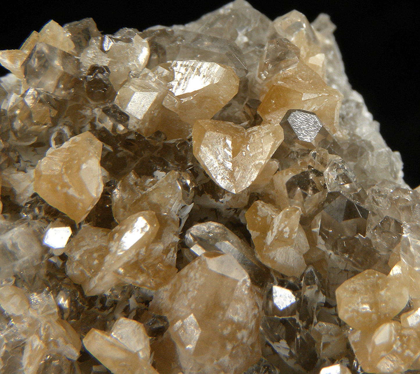 Monazite-(Ce) with Quartz