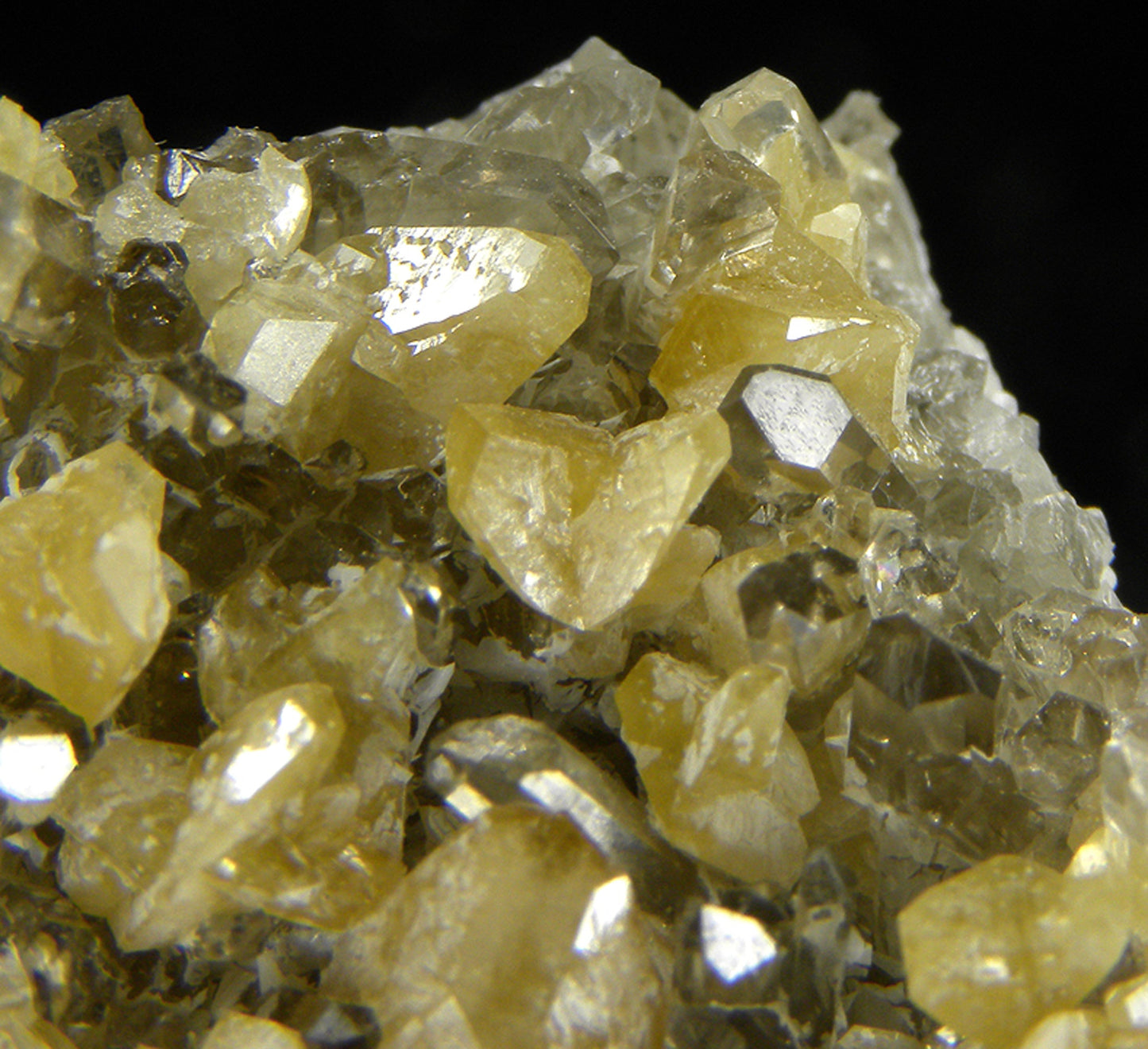 Monazite-(Ce) with Quartz