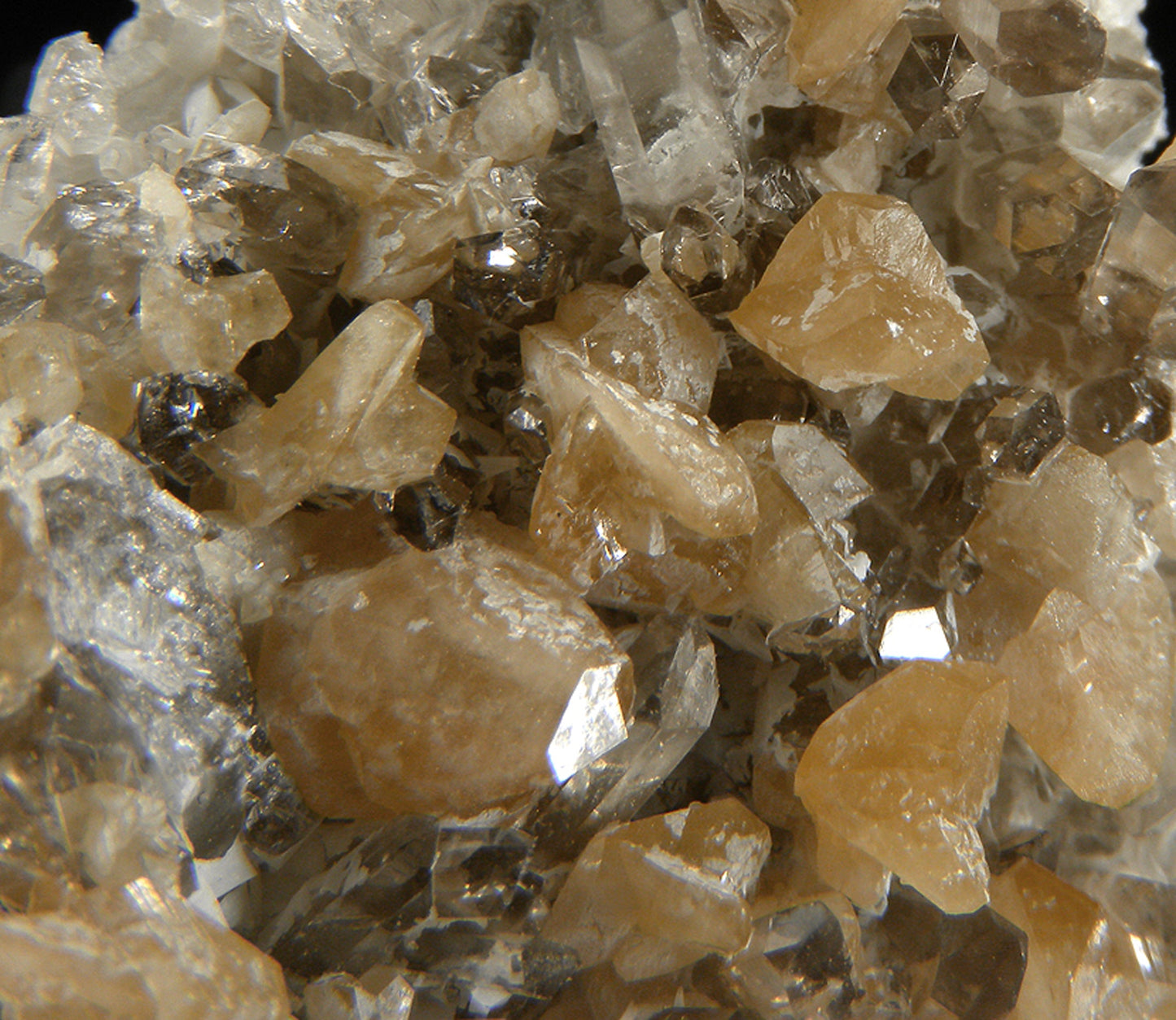 Monazite-(Ce) with Quartz