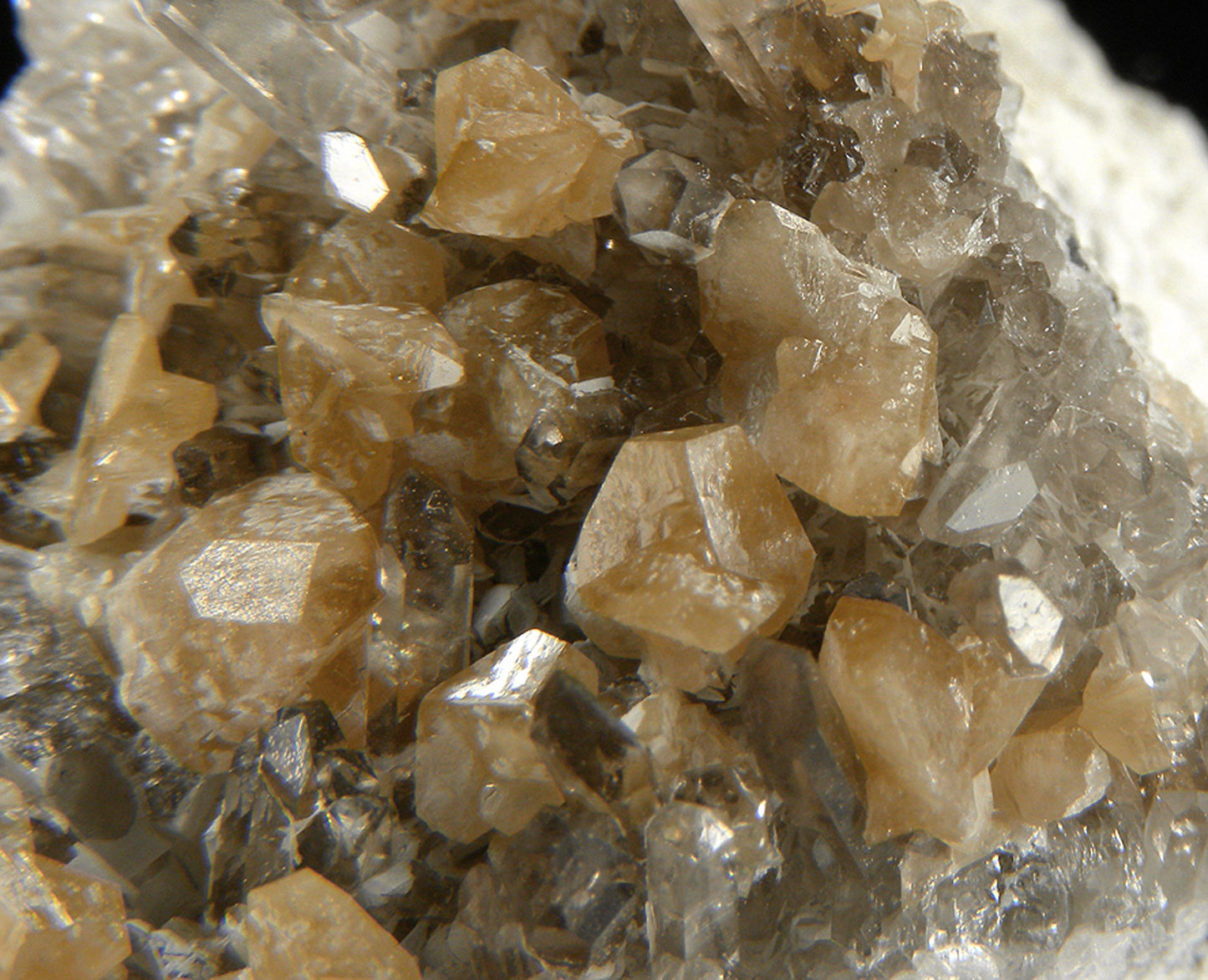 Monazite-(Ce) with Quartz