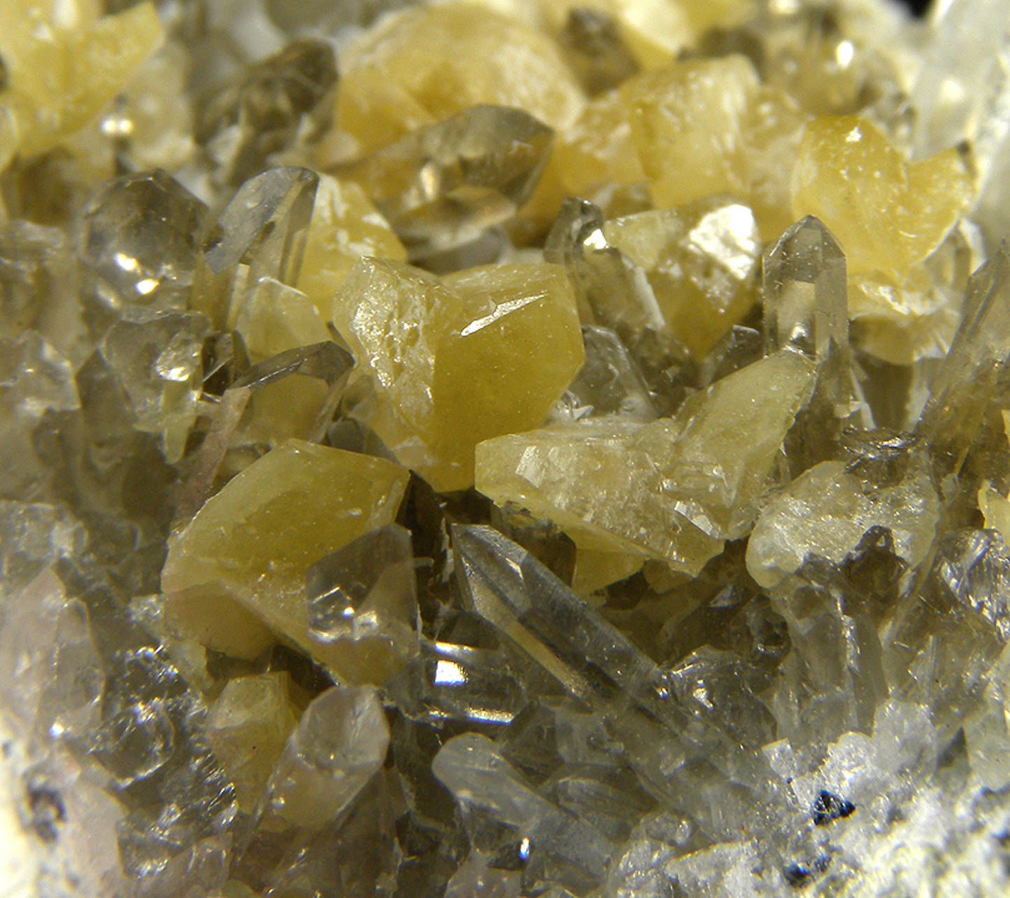 Monazite-(Ce) with Quartz