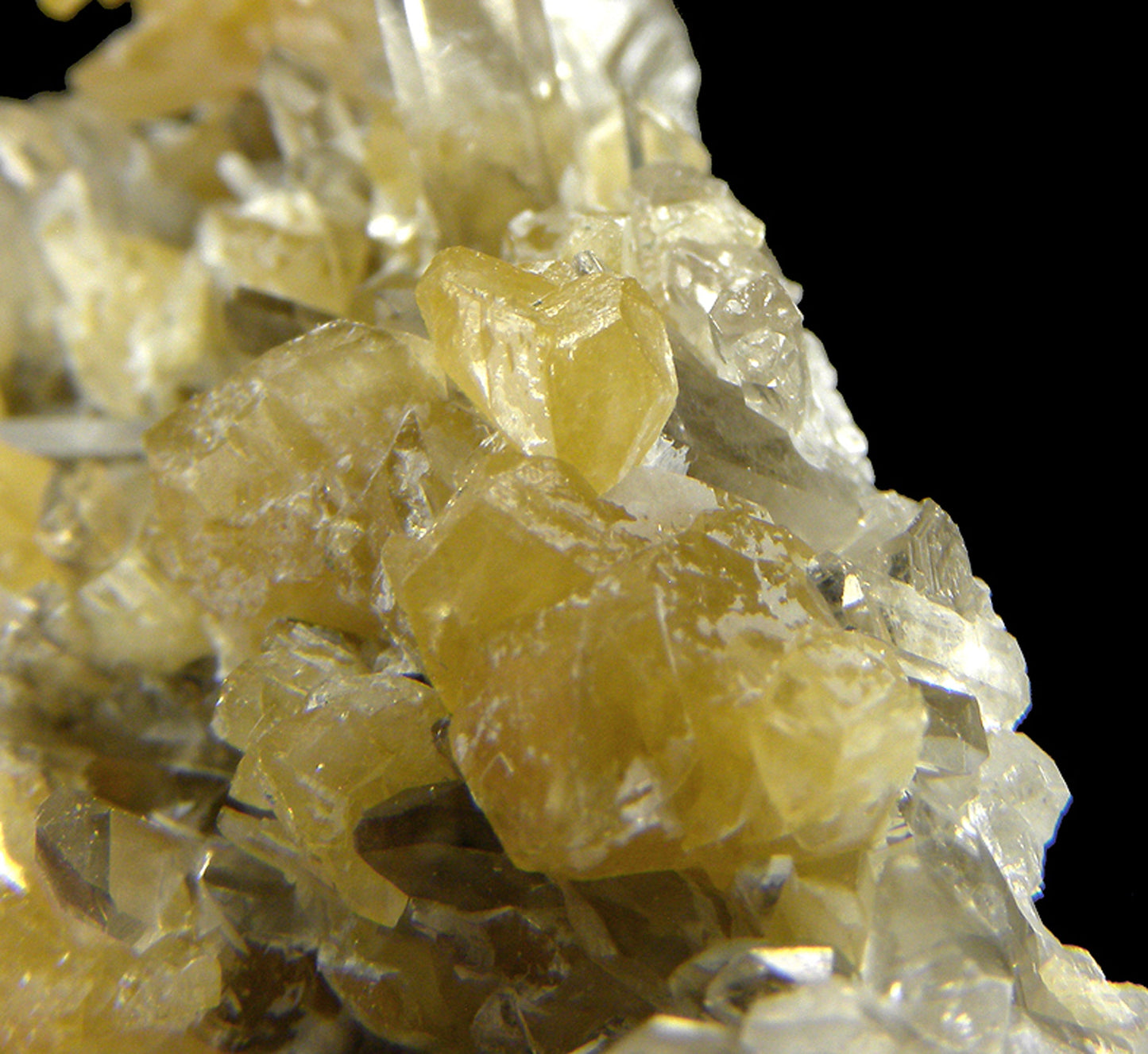 Monazite-(Ce) with Quartz