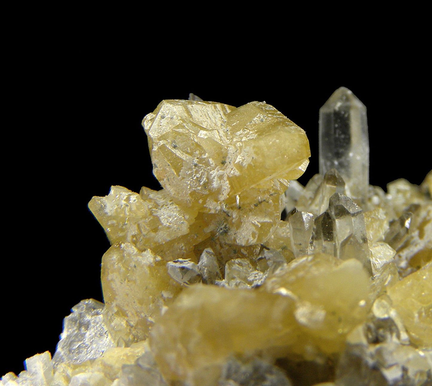 Monazite-(Ce) with Quartz