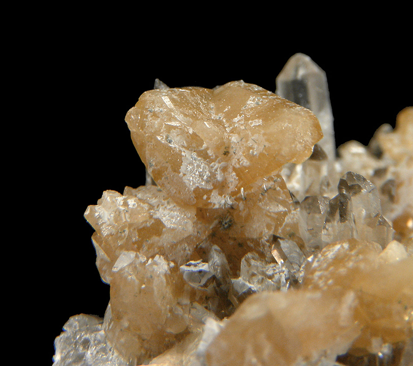 Monazite-(Ce) with Quartz
